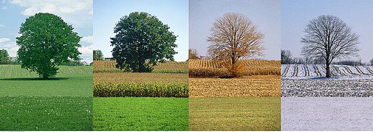 《尼克全明星大乱斗2》Rocko介绍 11月3日发售